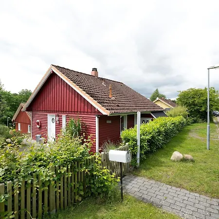 Seestern Ostsee Ferienhaus