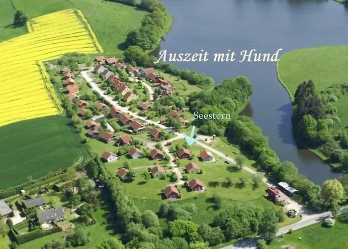 Seestern Ostsee * Monchneversdorf